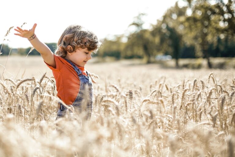Imagen de un niño feliz con las manos hacia arriba en medio del campo
