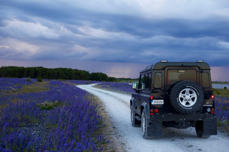 Imagen de un Jeep recorriendo campos de lavanda en medio de un paisaje espectacular